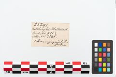Etikett zu Bronzegürtelhaken (NHMW-PRAE-025295)